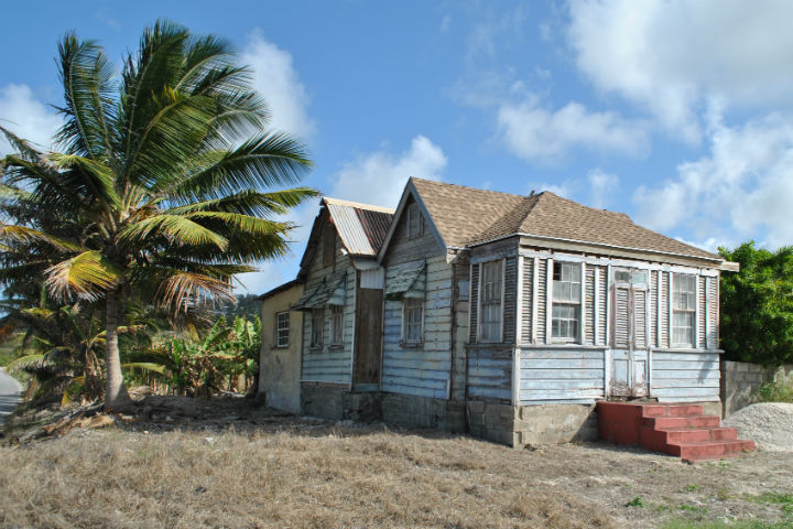 Barbados 2 Tracing Green April 2016