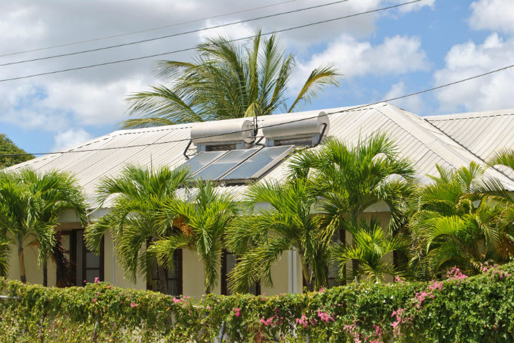 Barbados 3 Tracing Green April 2016