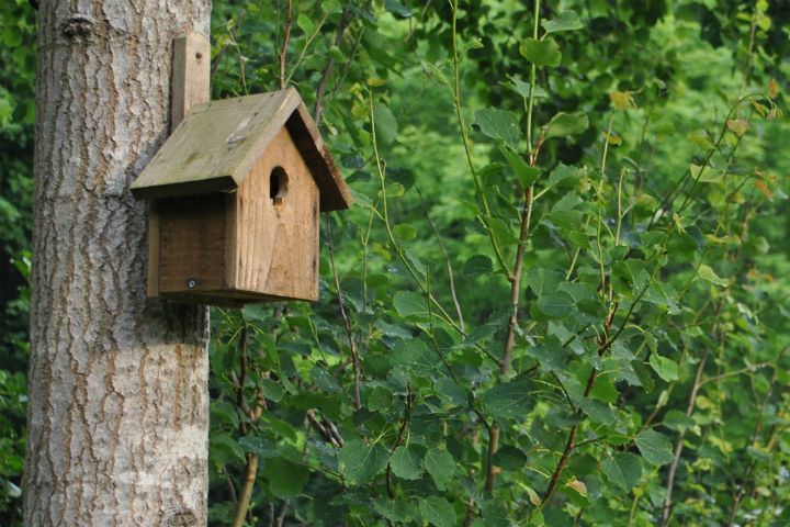 Green Burial 5 Tracing Green July 2015